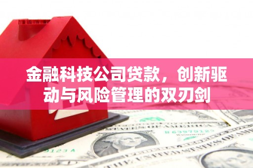 黑龙江金融科技公司贷款，创新驱动与风险管理的双刃剑
